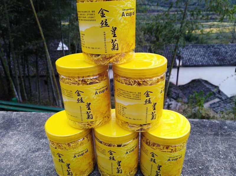 金丝皇菊