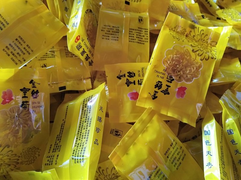 金丝皇菊