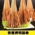 鸭肠串（诚招代理商）