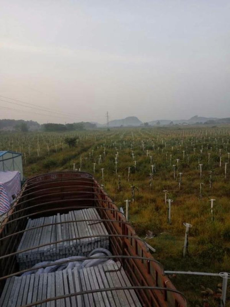 火龙果水泥柱水泥杆水泥桩百香果葡萄猕猴桃八月瓜水泥柱