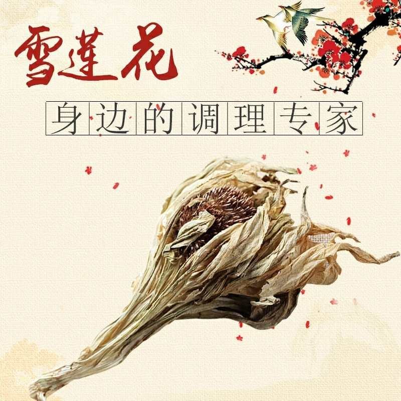 天山雪莲