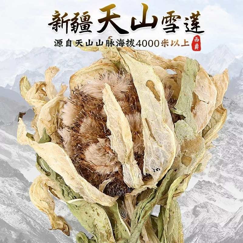 天山雪莲