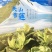 天山雪莲