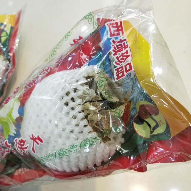 天山雪莲