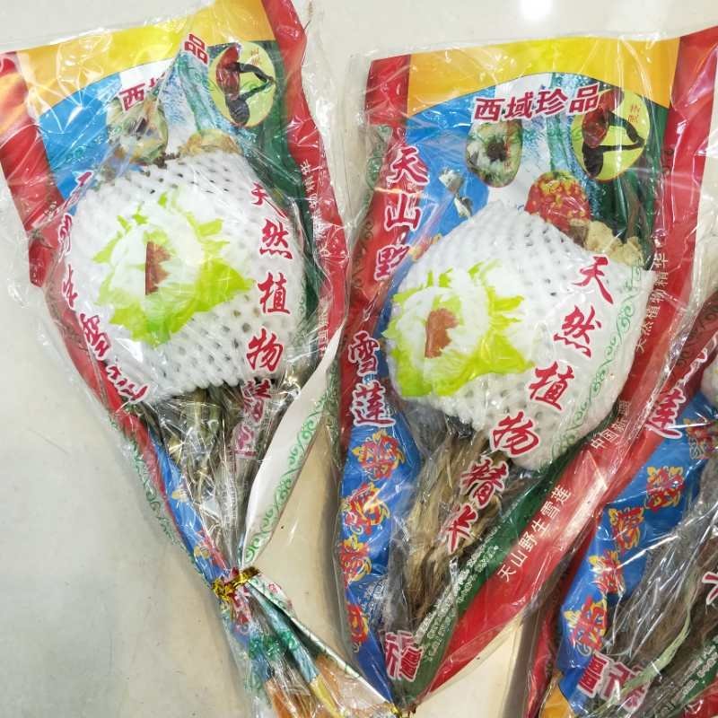 天山雪莲