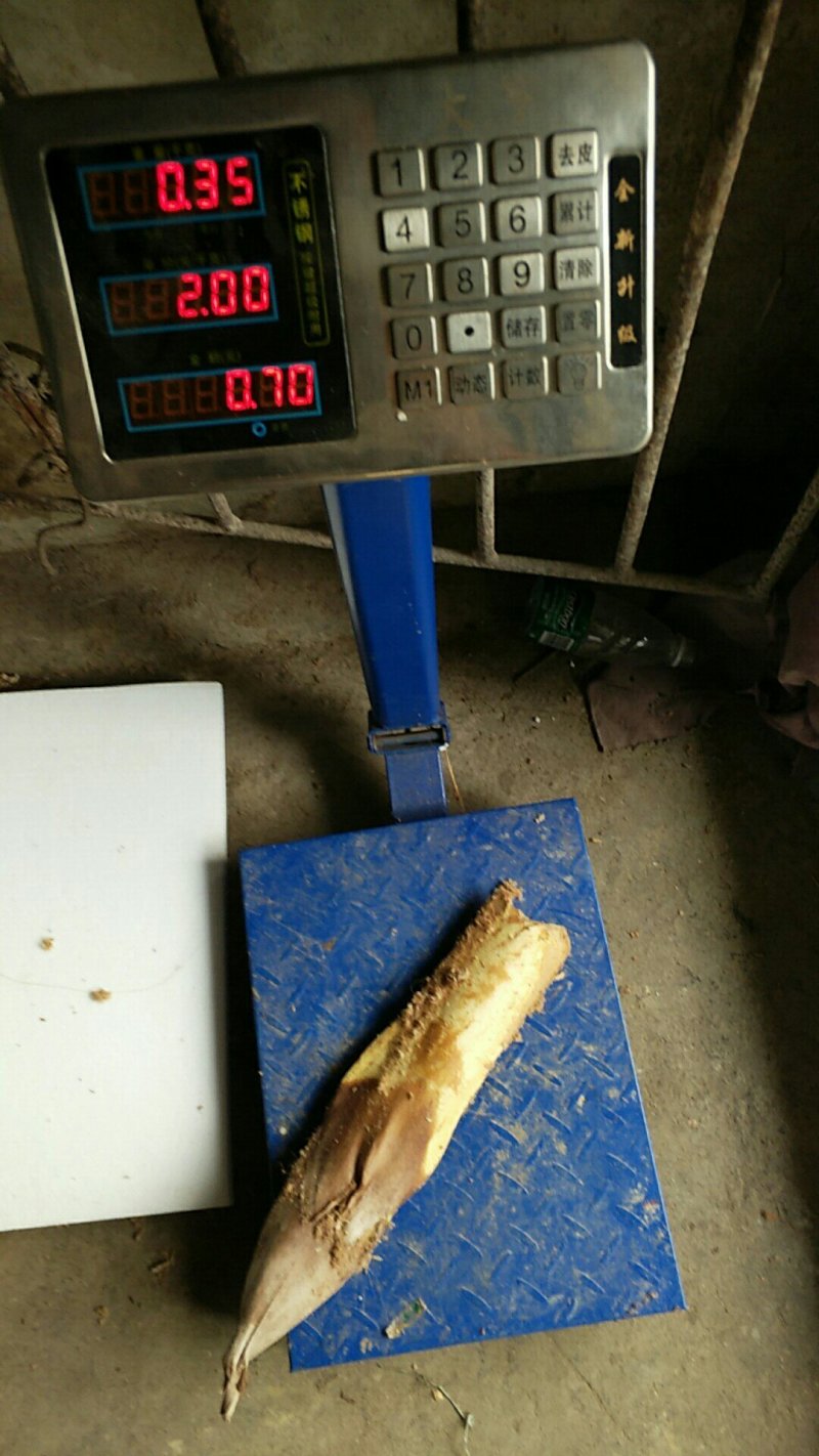 棕树花棕树花棕包棕树心班车带货当天到货大货请联系