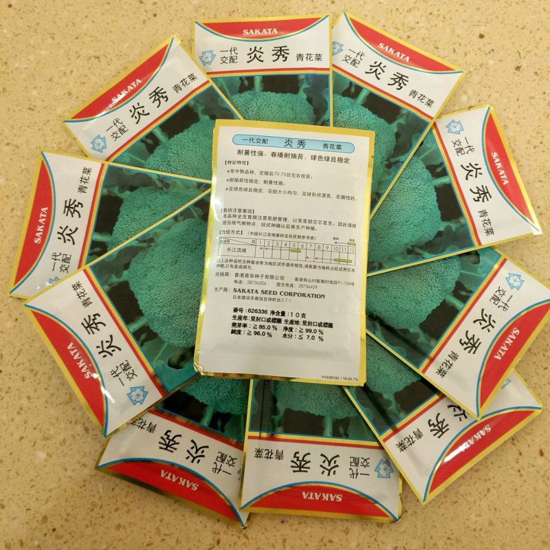 西兰花种子