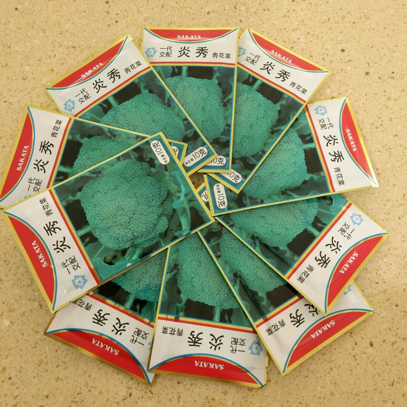西兰花种子