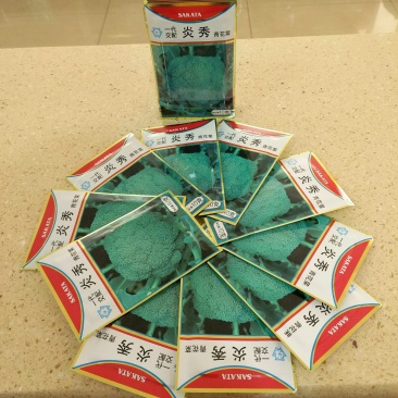 西兰花种子