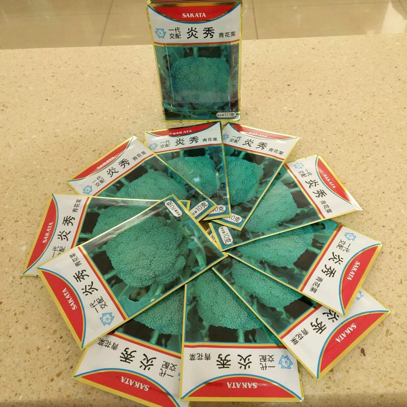 西兰花种子