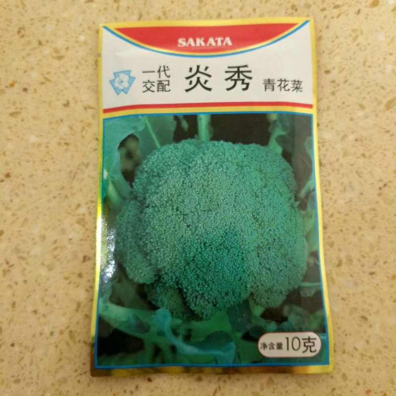 西兰花种子