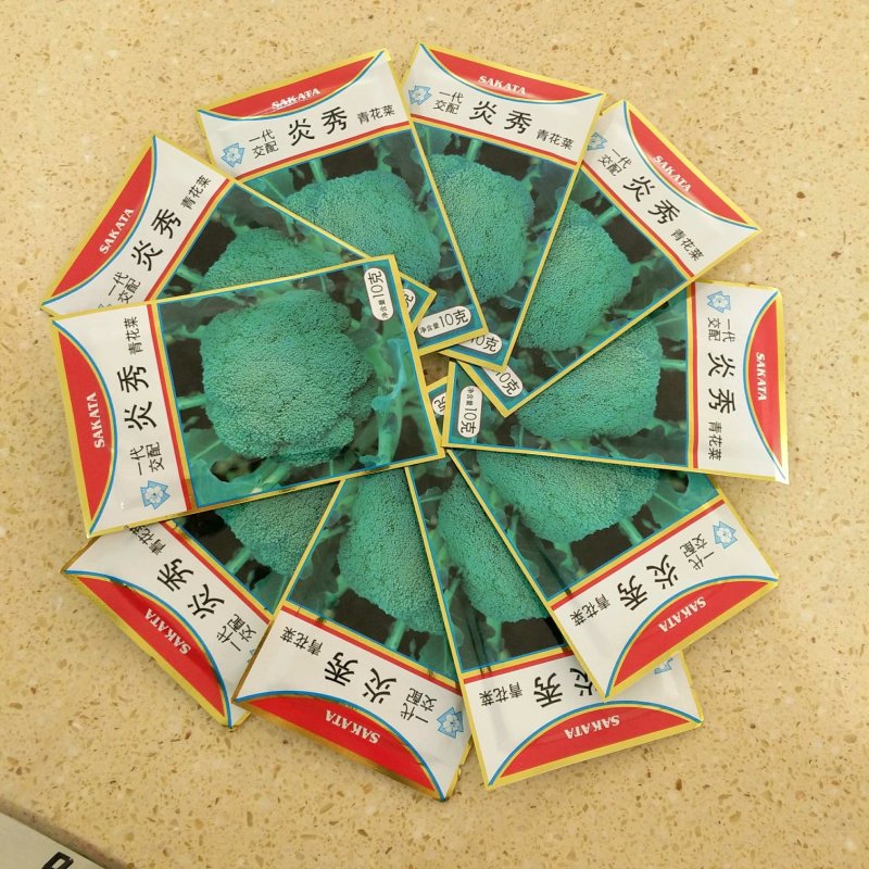 西兰花种子