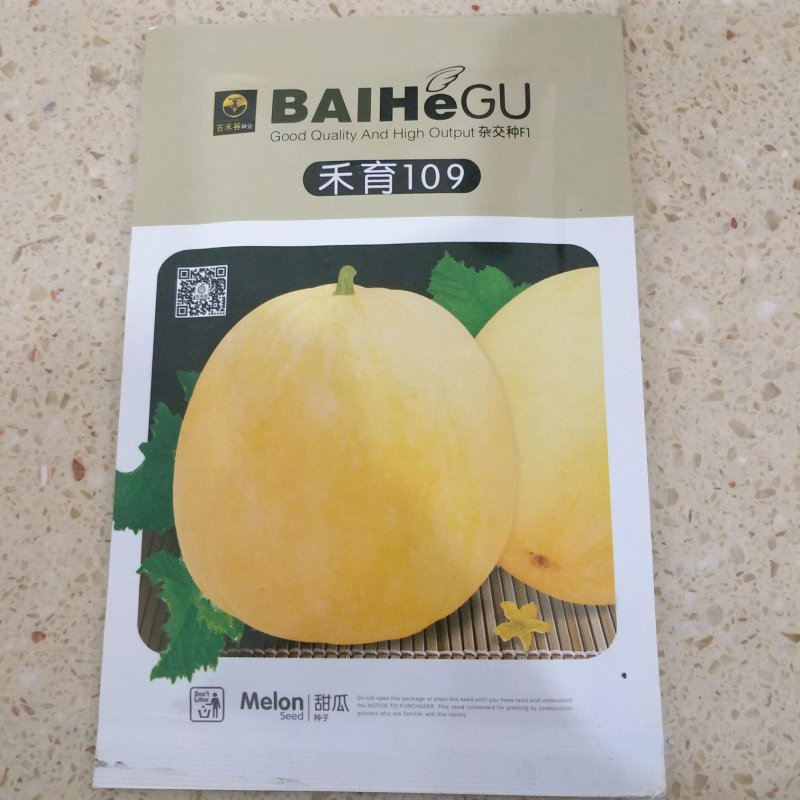绿博特甜瓜种子