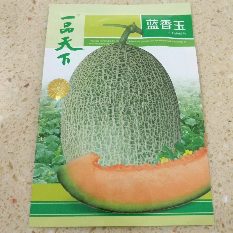 绿博特甜瓜种子