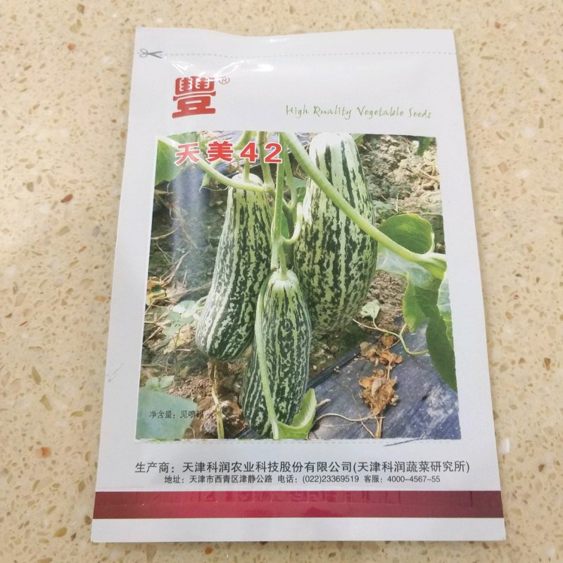 绿博特甜瓜种子