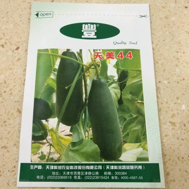 绿博特甜瓜种子