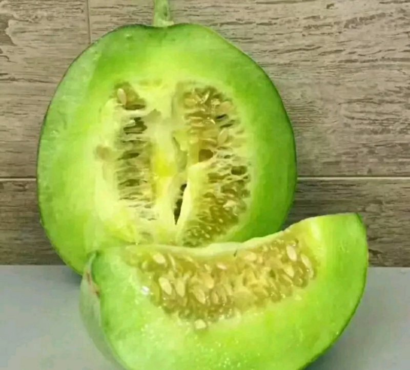 绿博特甜瓜种子