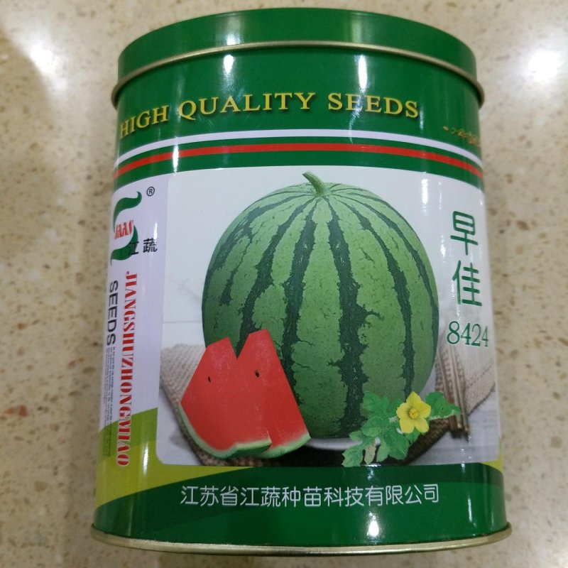西瓜种子