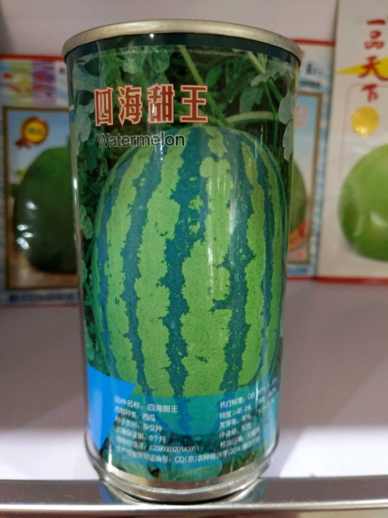 西瓜种子