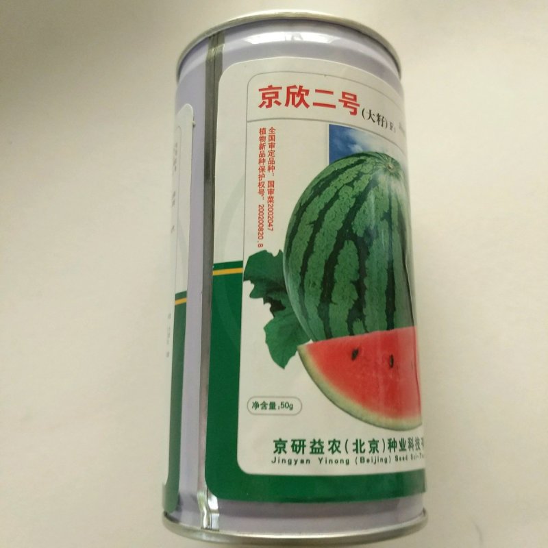 西瓜种子