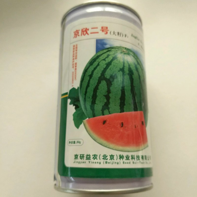 西瓜种子