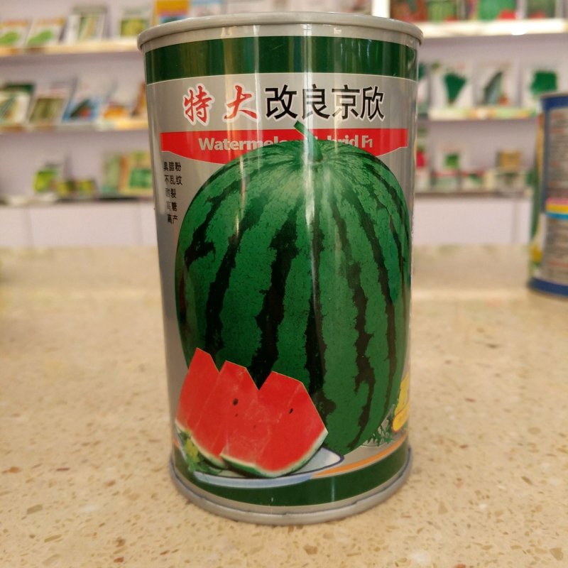 西瓜种子