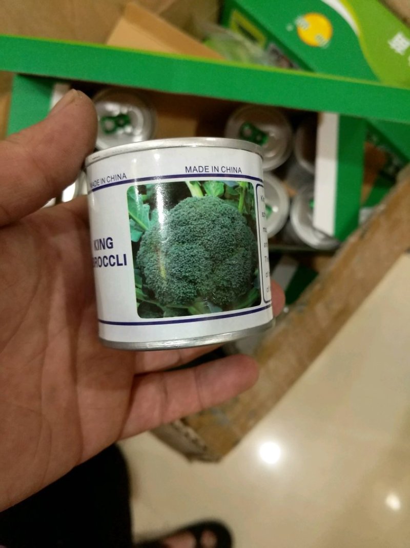 国王西兰花种子