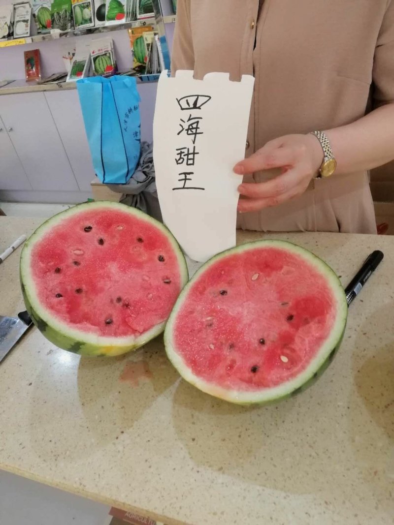四海甜王西瓜种子