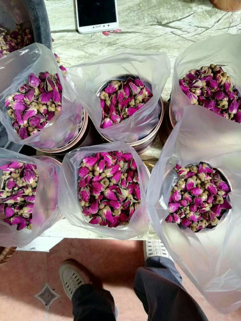甘肃永登苦水玫瑰