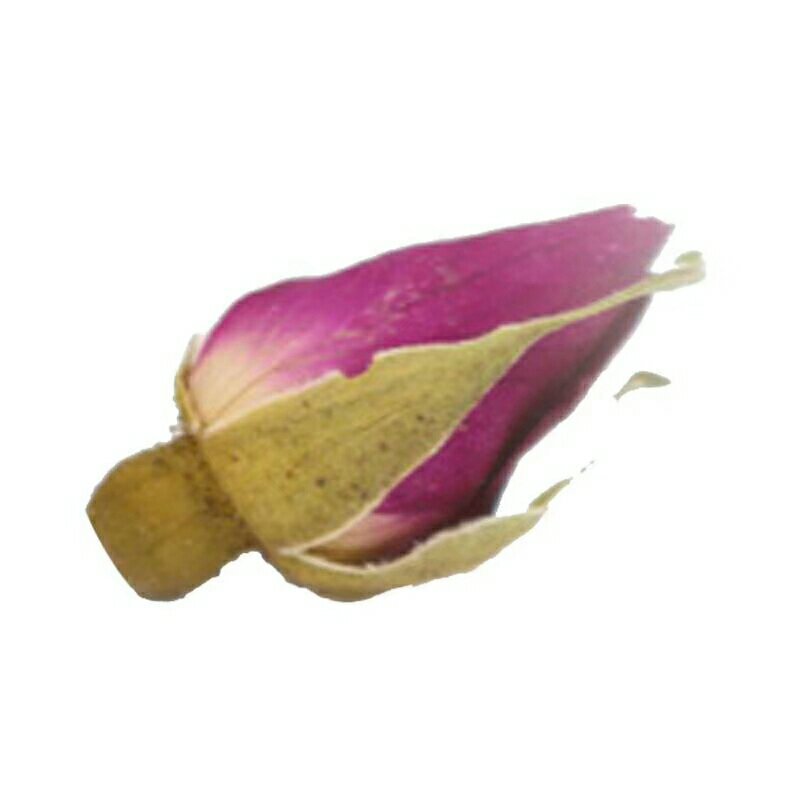 甘肃永登苦水玫瑰