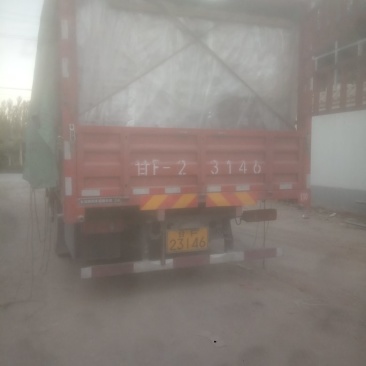 敦煌红提万亩葡萄基地