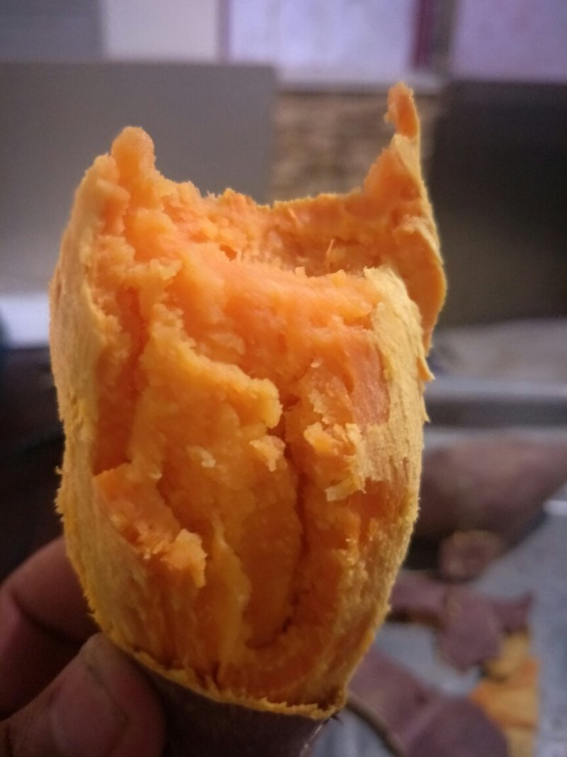 商薯19，济薯26，西瓜红，大量出货