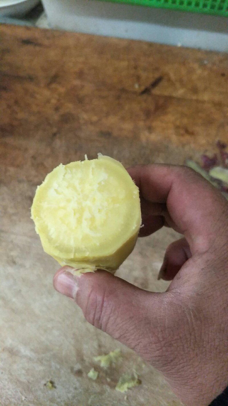 商薯19，济薯26，西瓜红，大量出货