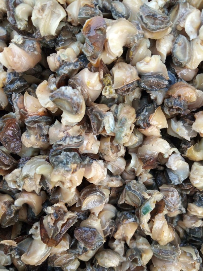 河汊小干鱼油炸小鱼干