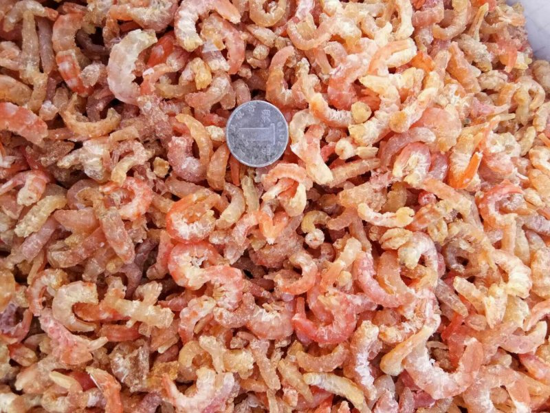 金钩海米