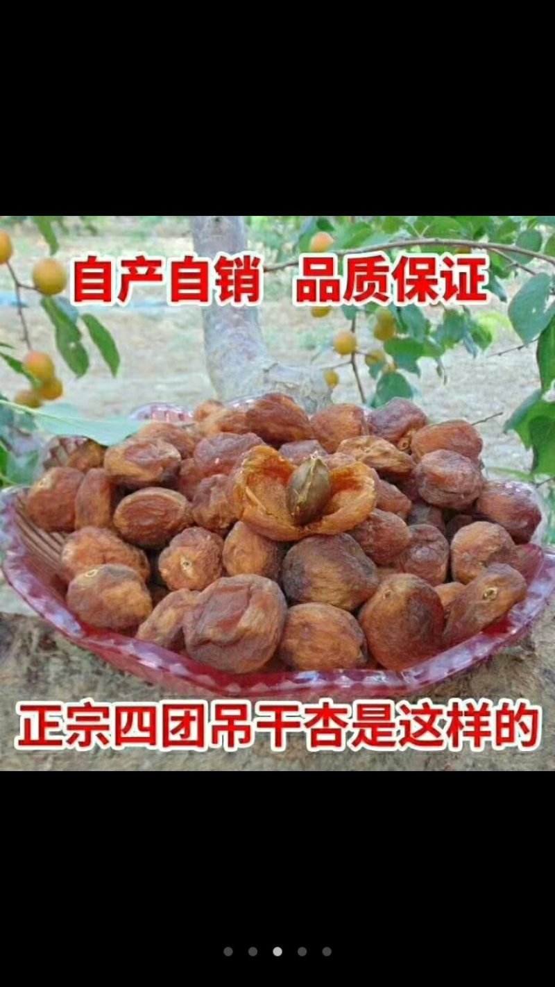 杏干