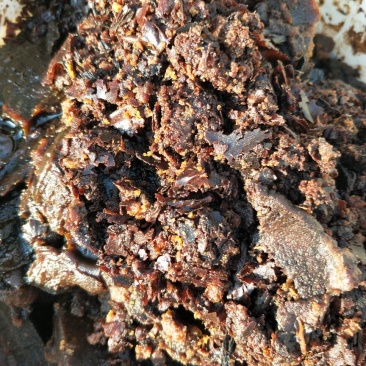 大豆油油渣
