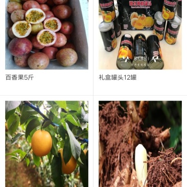 黄桃礼盒罐头