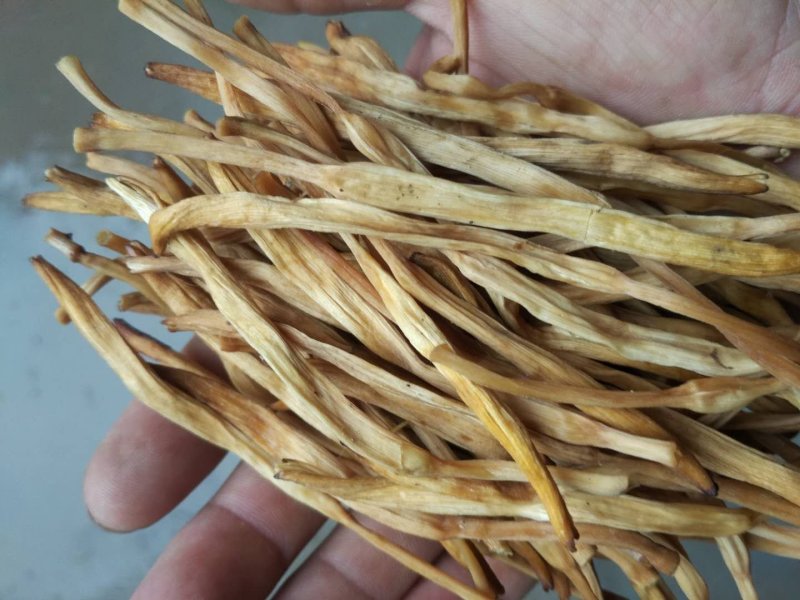干黄花菜