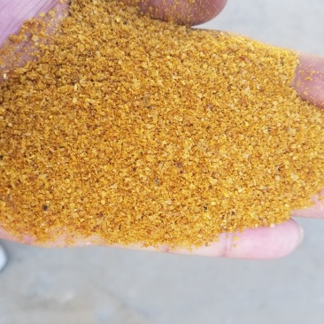 玉米酒糟DDGS，蛋白26，脂肪8