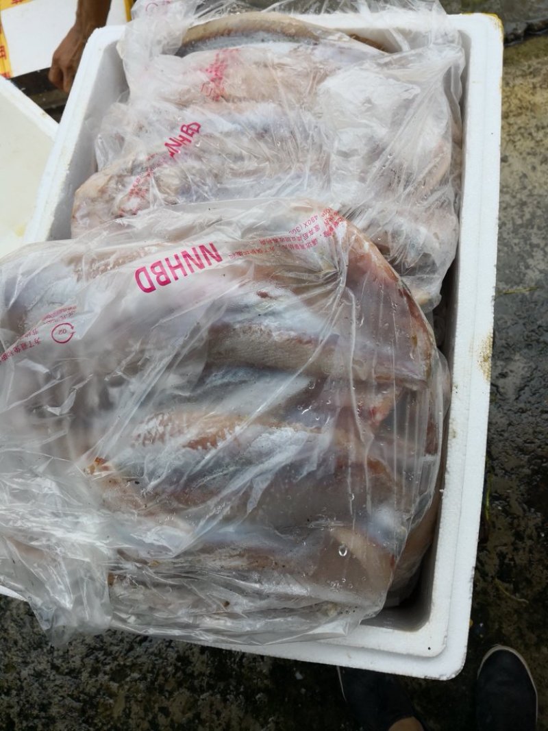 鲮鱼，白鲢鱼肉