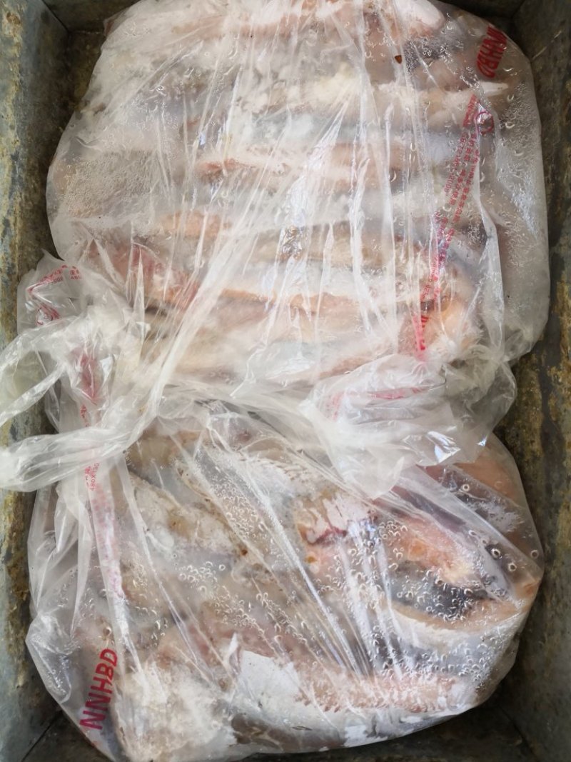 鲮鱼，白鲢鱼肉