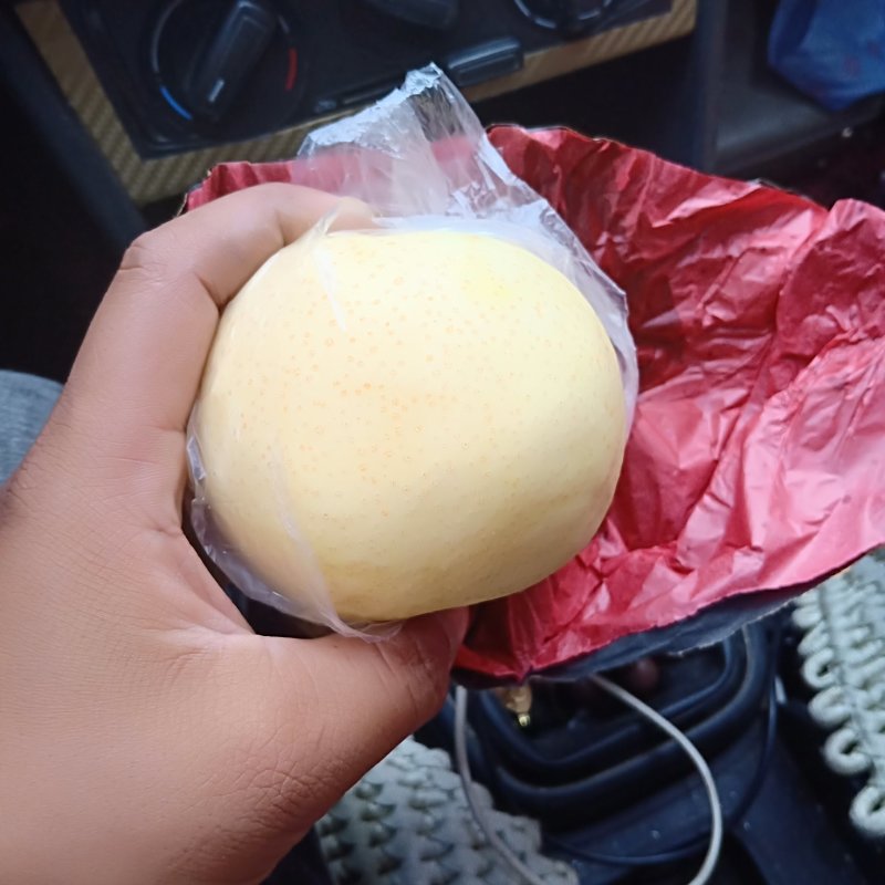 头茬梨纸袋脆甜黄金梨圆黄梨丰水梨产地商品梨批发价格