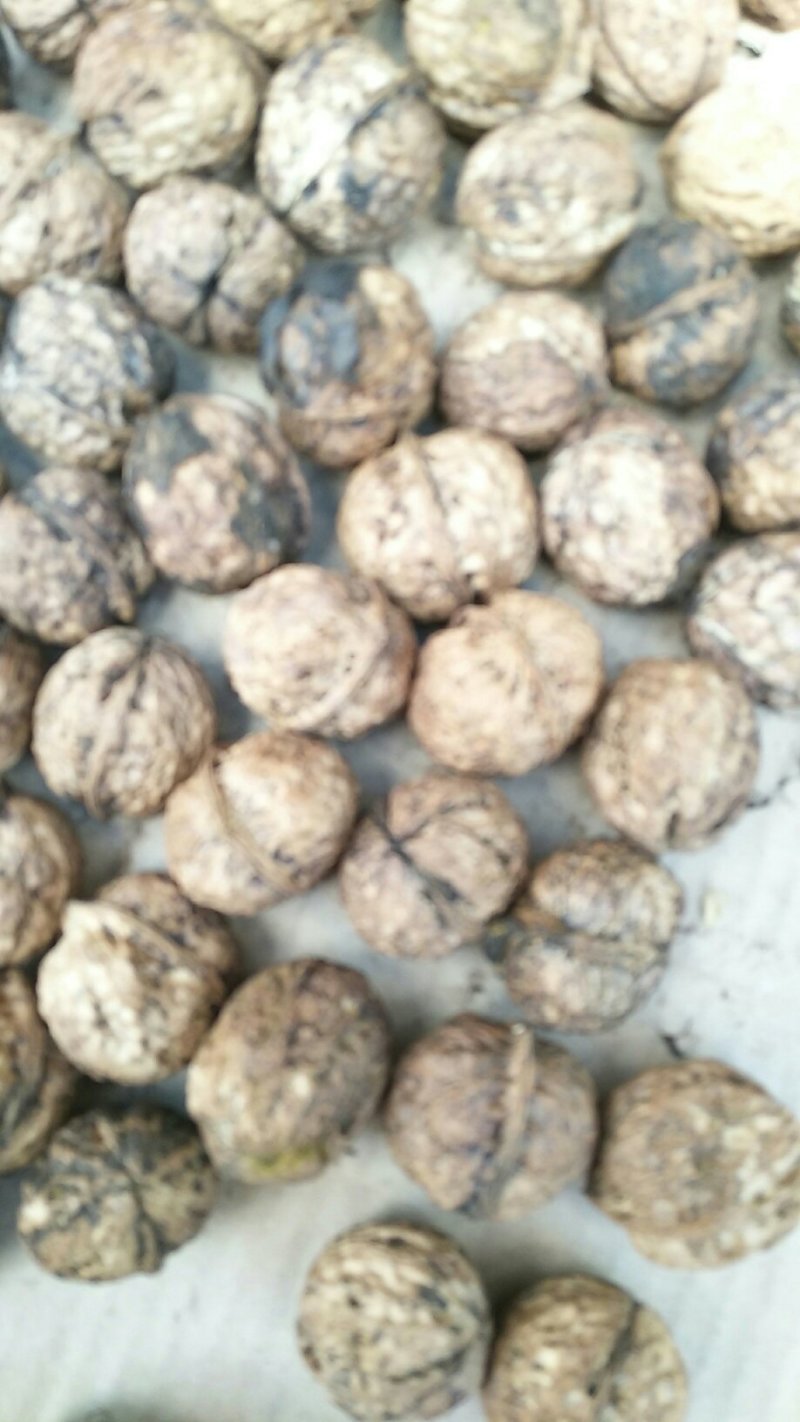 核桃