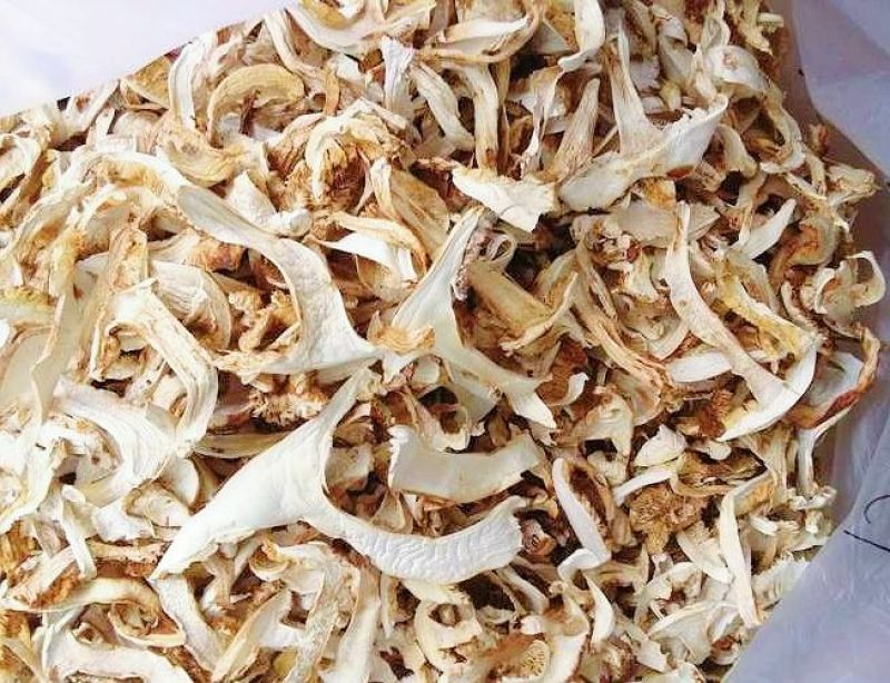 松茸干片