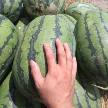 有需要的老板可以联系