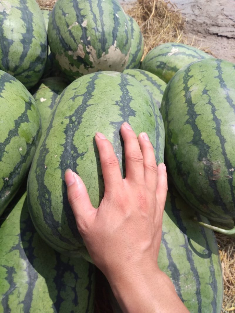 有需要的老板可以联系