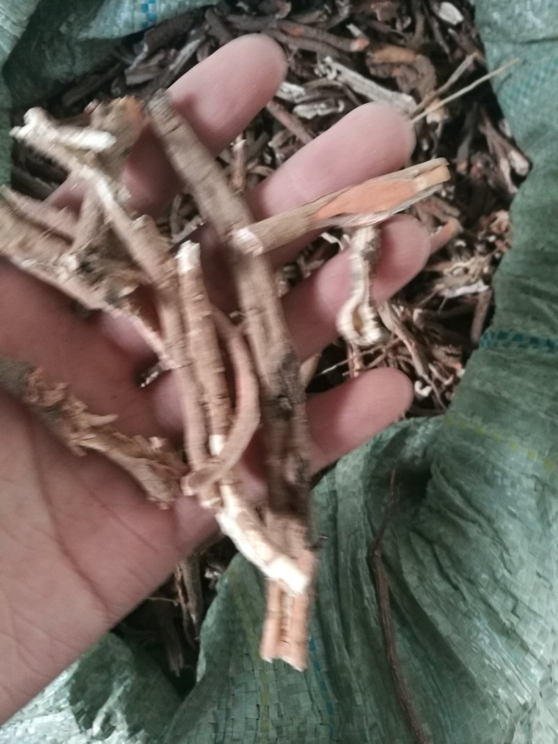 牡丹皮