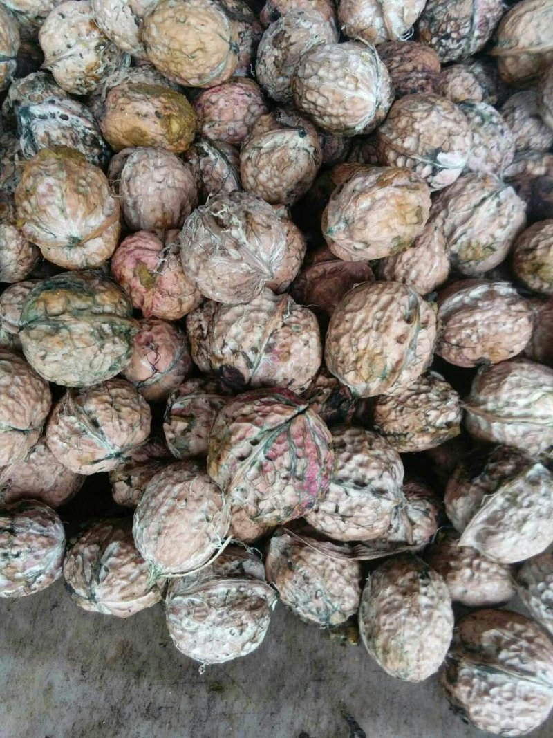漾濞大泡核桃