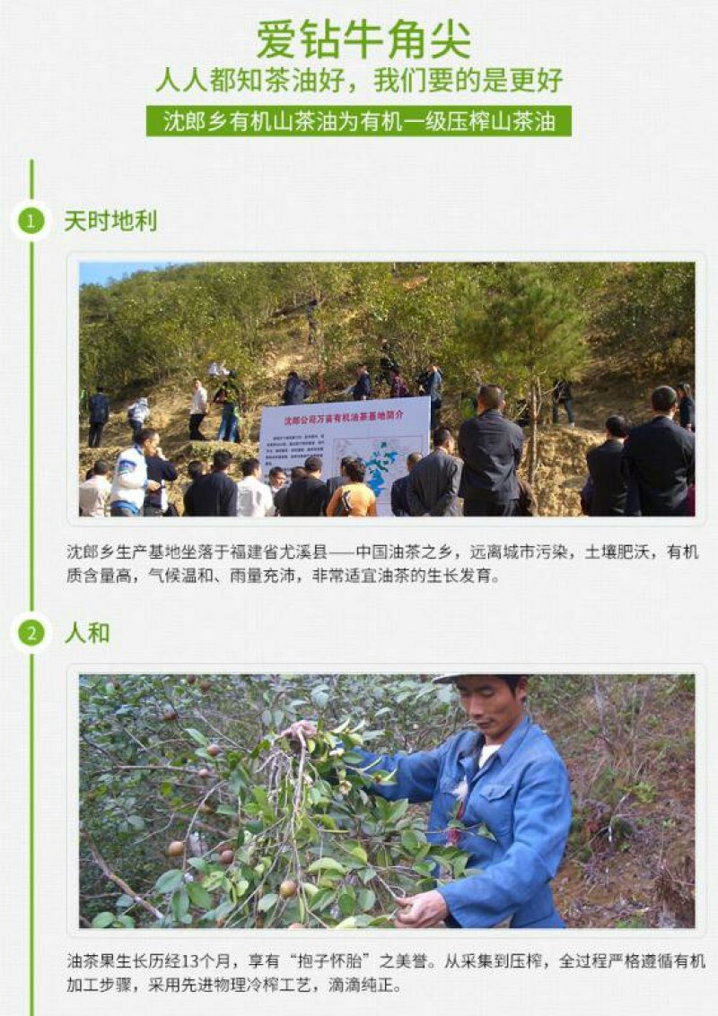 沈郎乡有机山茶油2升瓶装